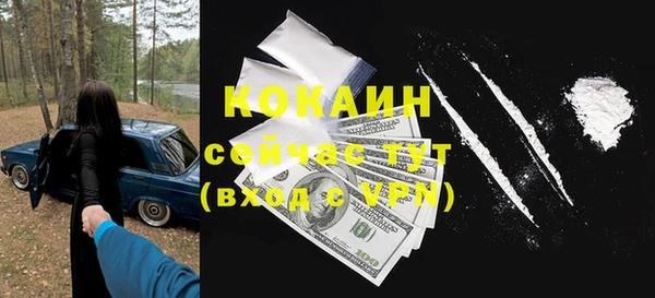 шишки Алексин