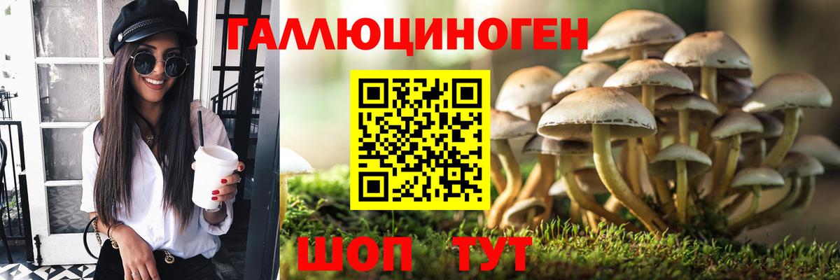 Омск  Галлюциногенные грибы Cubensis  Вход с VPN  Галлюциногенные грибы Cubensis 